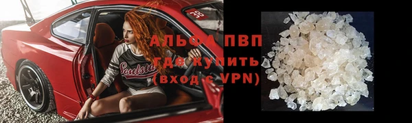 трава Абаза