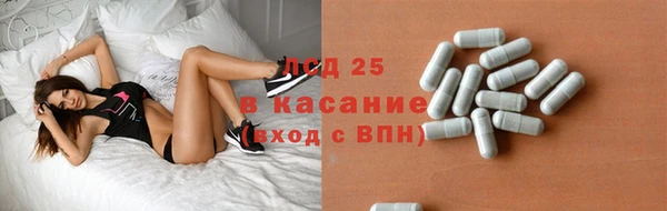 стаф Пестово