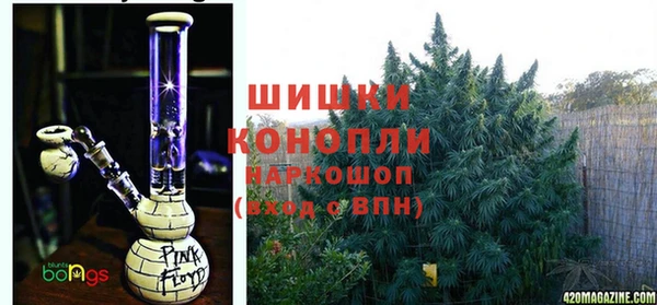 стаф Пестово