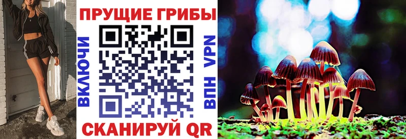 Псилоцибиновые грибы Magic Shrooms  сайты даркнета наркотические препараты  Алагир 